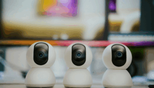 Lee más sobre el artículo Director de seguridad